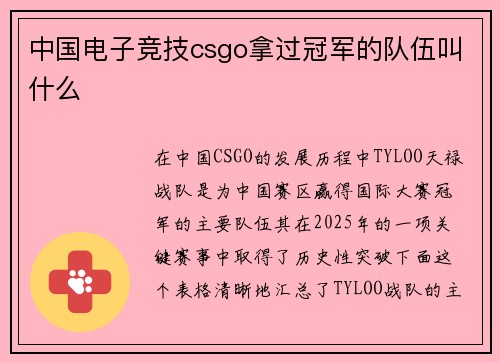 中国电子竞技csgo拿过冠军的队伍叫什么
